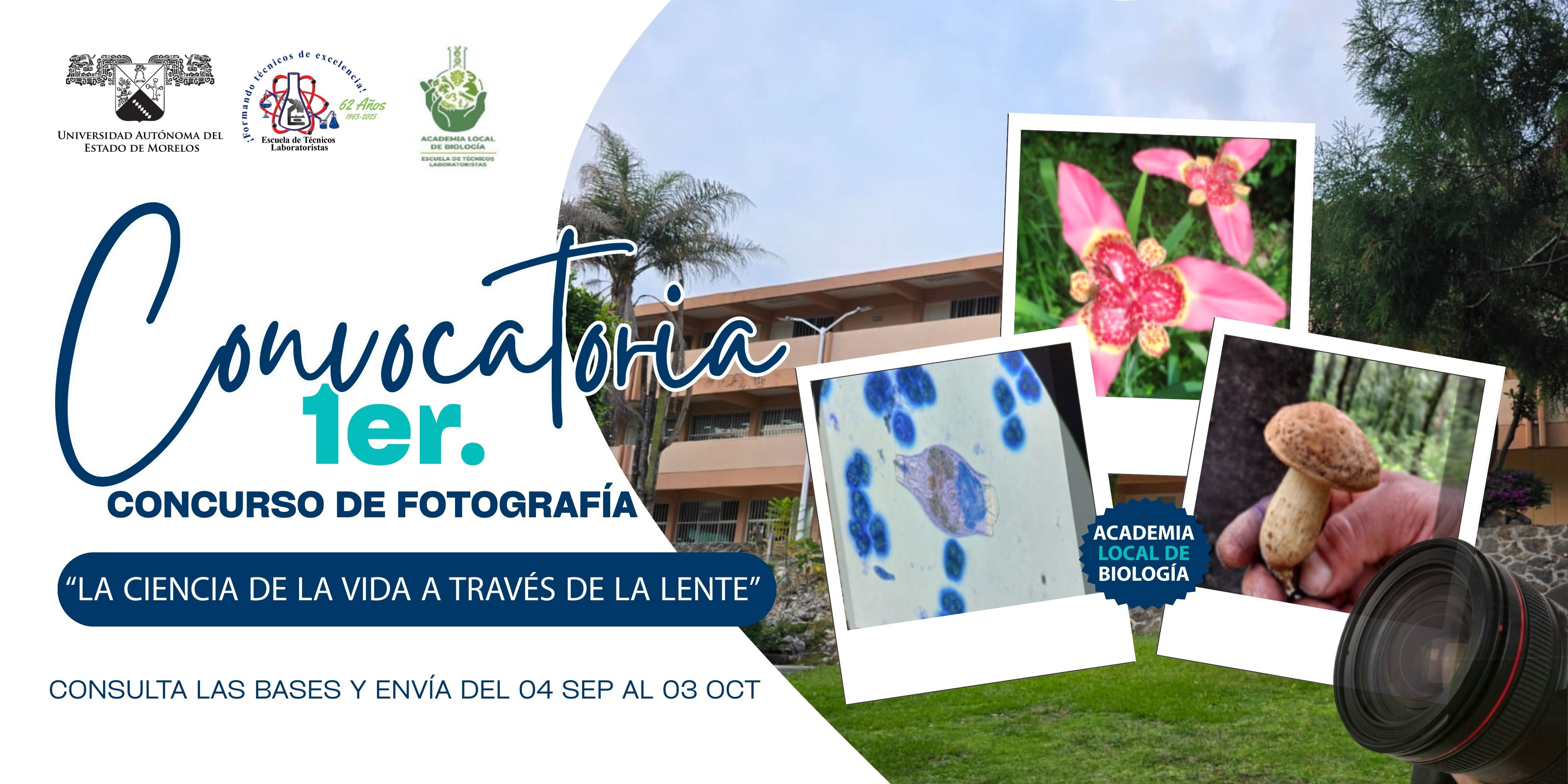 convocatoria